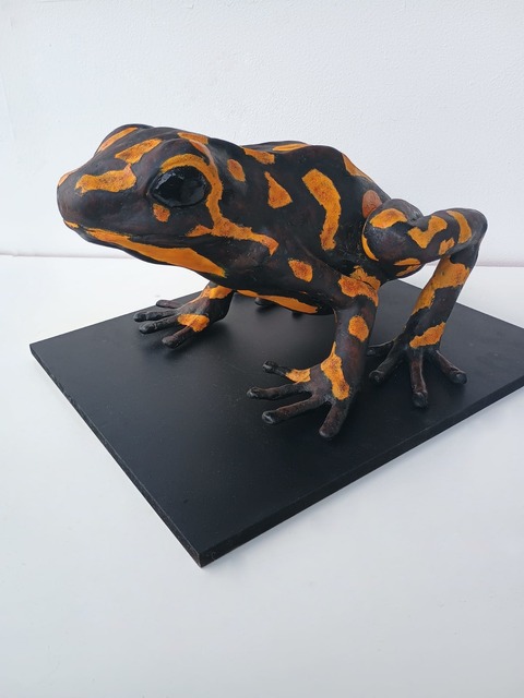 A model of a Harlequin Poison Frog